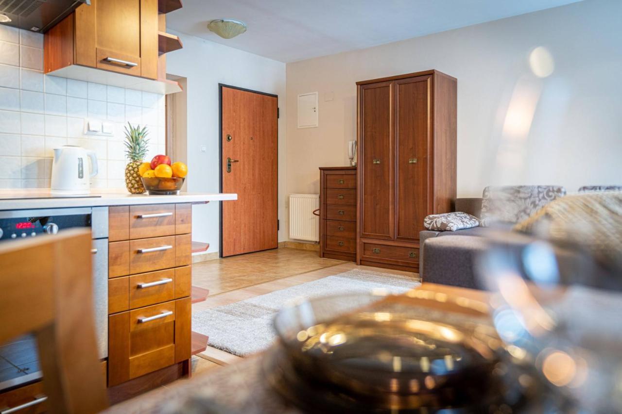 Apart-Styl Apartamenty Zakopane- Brzozowa, Centrum Miasta מראה חיצוני תמונה