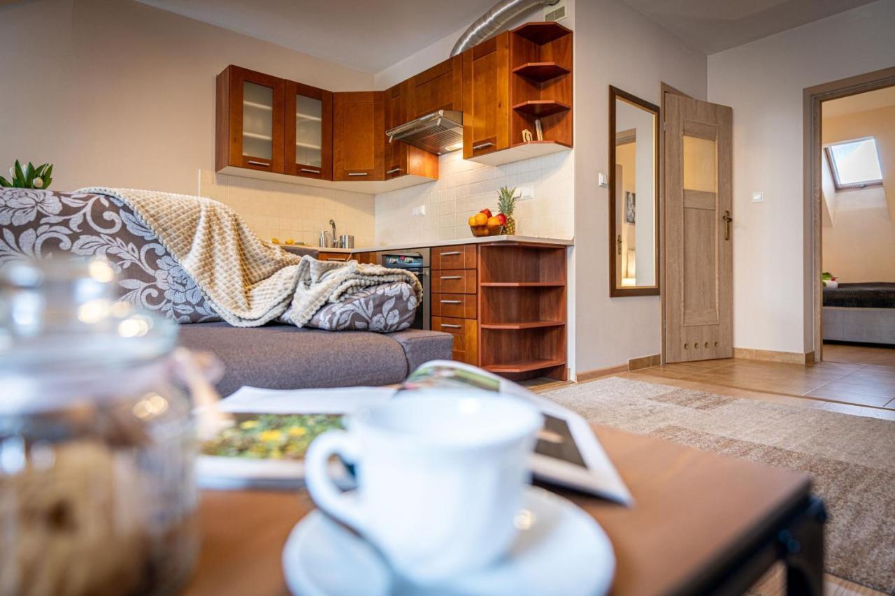 Apart-Styl Apartamenty Zakopane- Brzozowa, Centrum Miasta מראה חיצוני תמונה