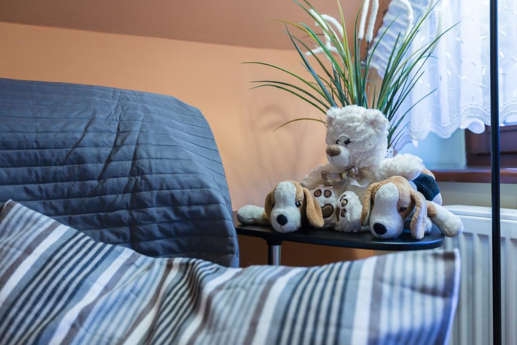 Apart-Styl Apartamenty Zakopane- Brzozowa, Centrum Miasta מראה חיצוני תמונה